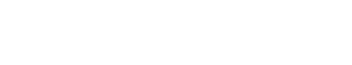 LUZ International Logo